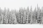 shutterstock_55665583
