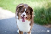 Cooper-082011-2