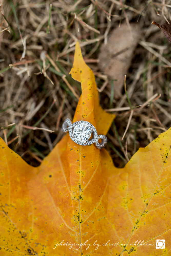 Chesterfield Faust Park Engagement Photographer_CristenMatt-132