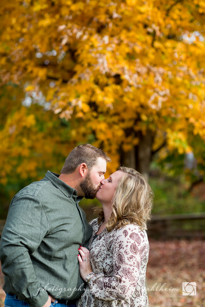 Chesterfield Faust Park Engagement Photographer_CristenMatt-4