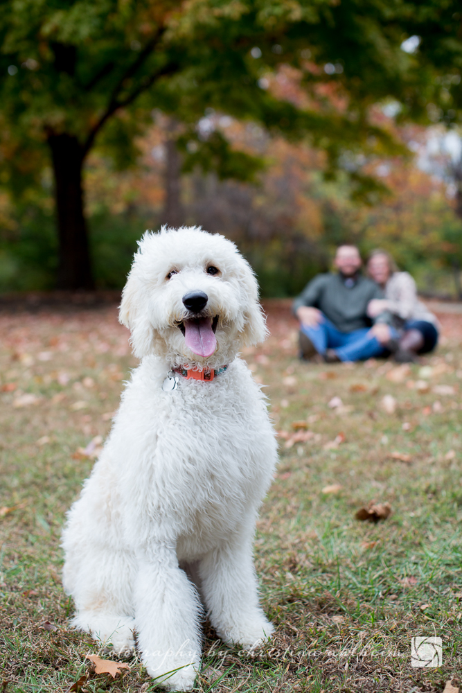 Chesterfield Faust Park Engagement Photographer_CristenMatt-61