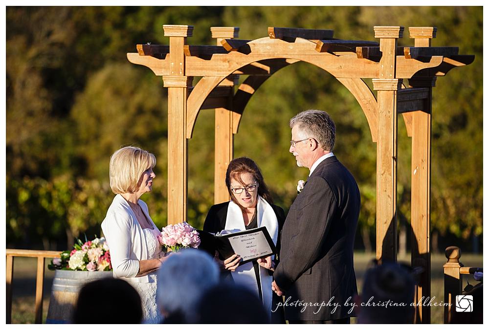 Noboleis Vineyards Wedding Photographer Augusta Missouri-BobLiz-89