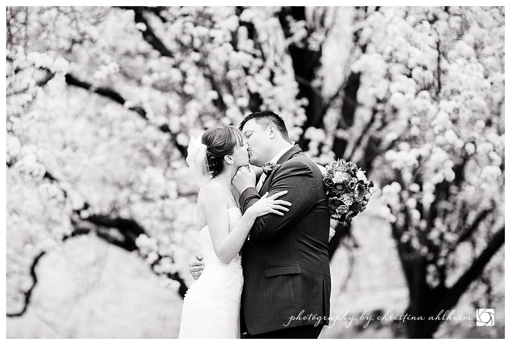 Jewel-Box-Forest-Park-Wedding-Photographer_AllisonMarc-387