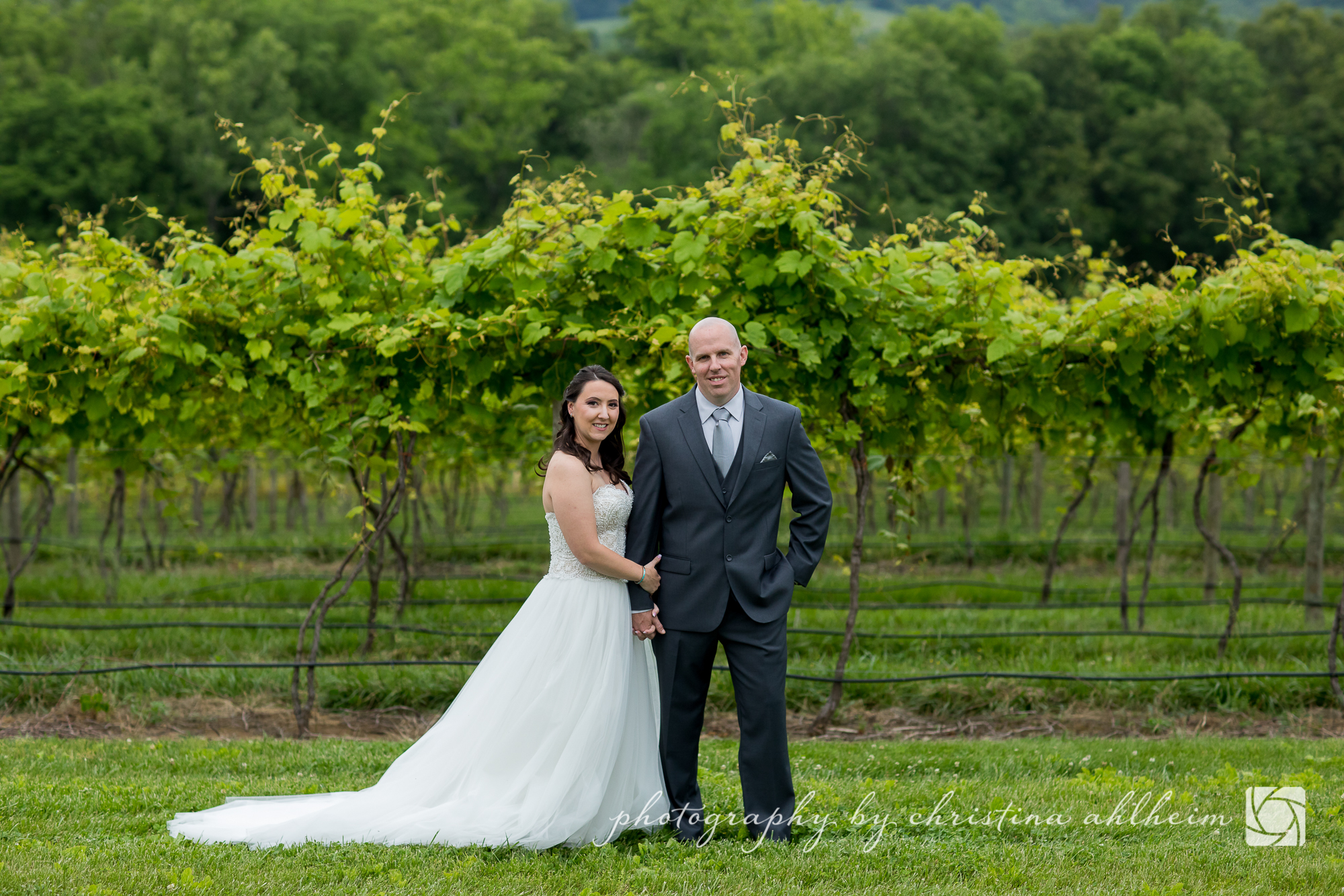 Noboleis Vineyards Wedding Photography MattAbby-1