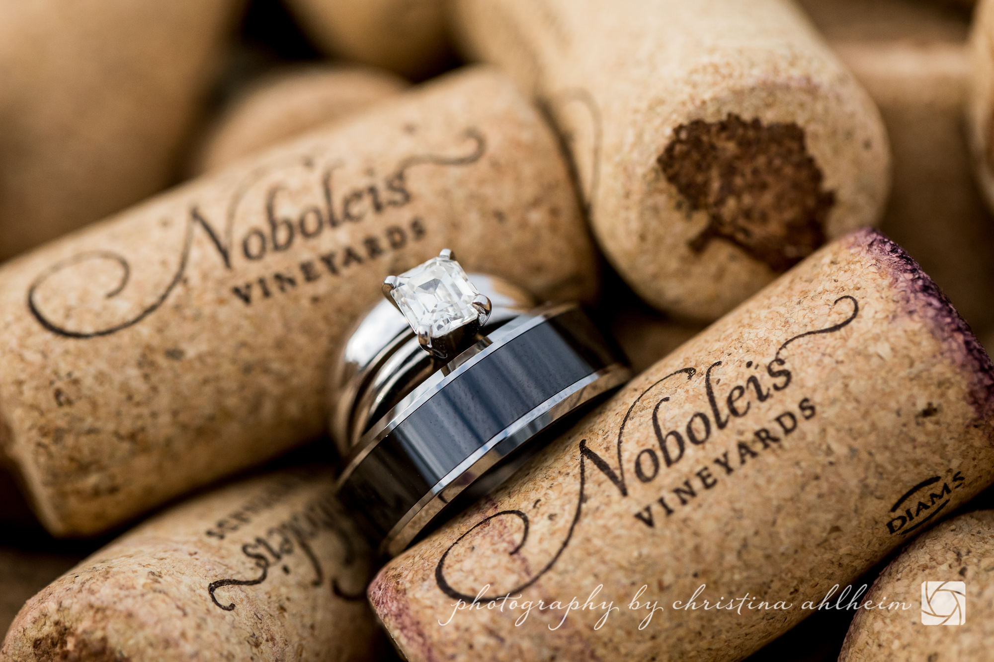 Noboleis Vineyards Wedding Photography MattAbby-11