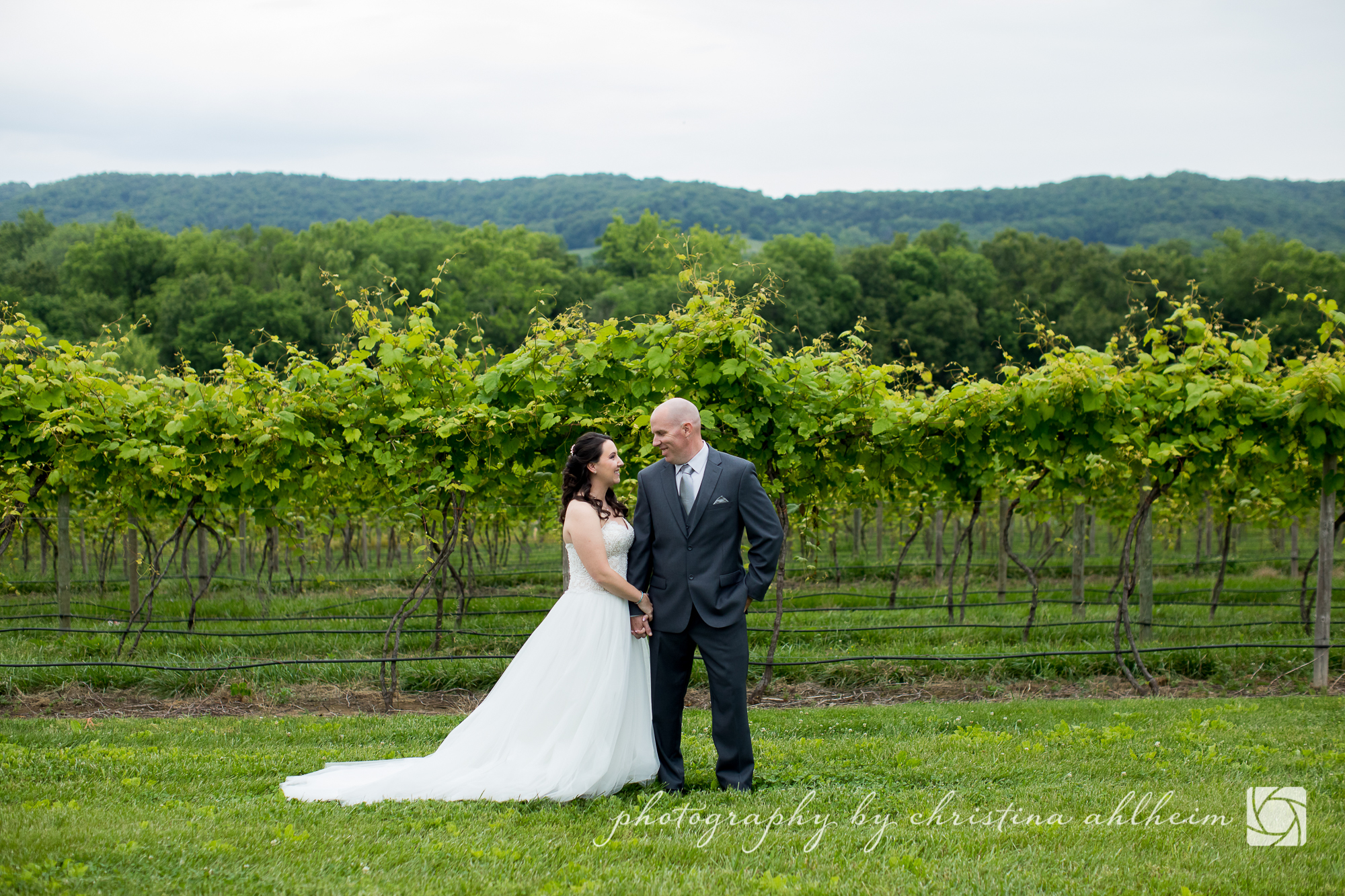 Noboleis Vineyards Wedding Photography MattAbby-2