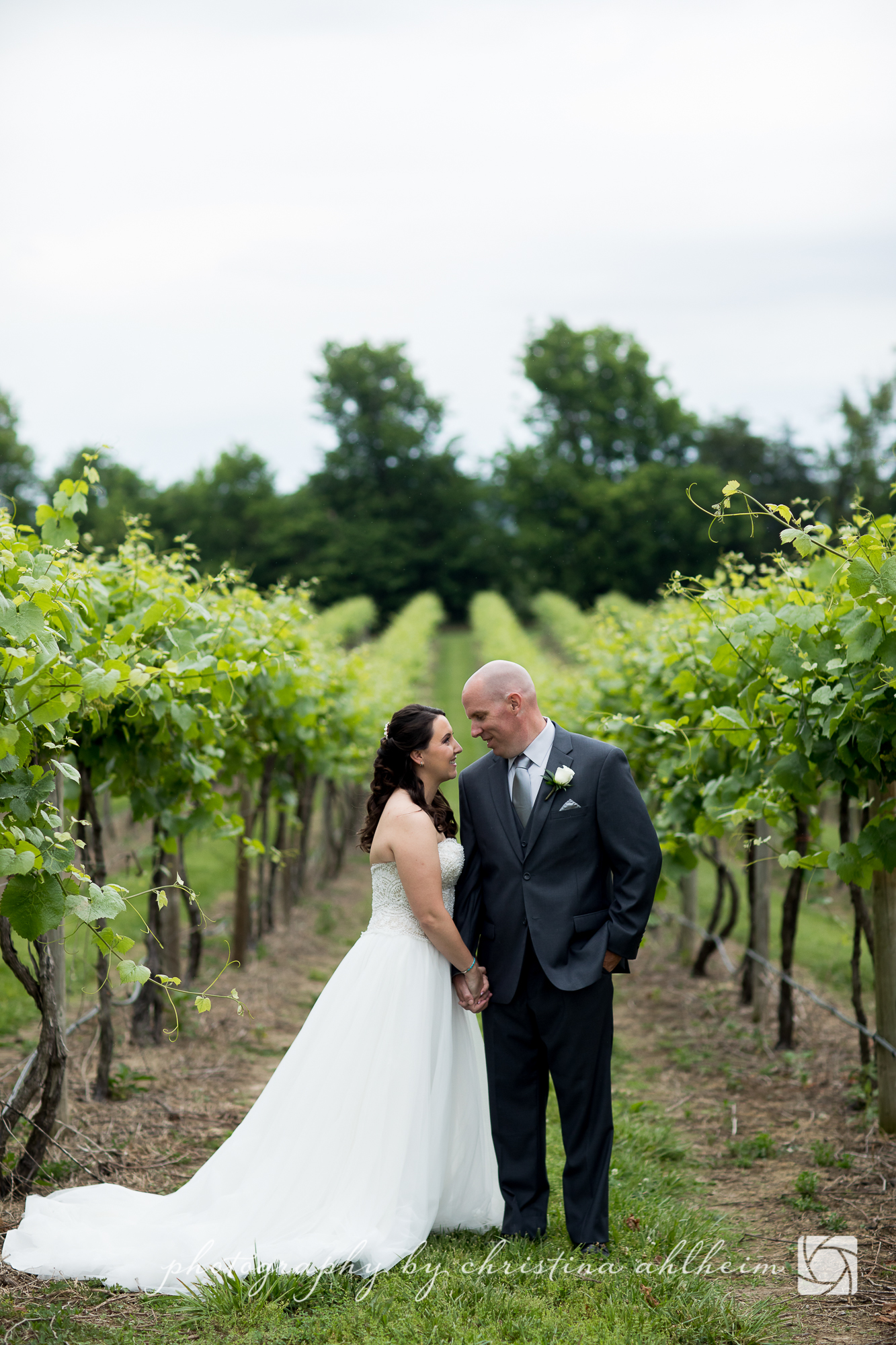 Noboleis Vineyards Wedding Photography MattAbby-4