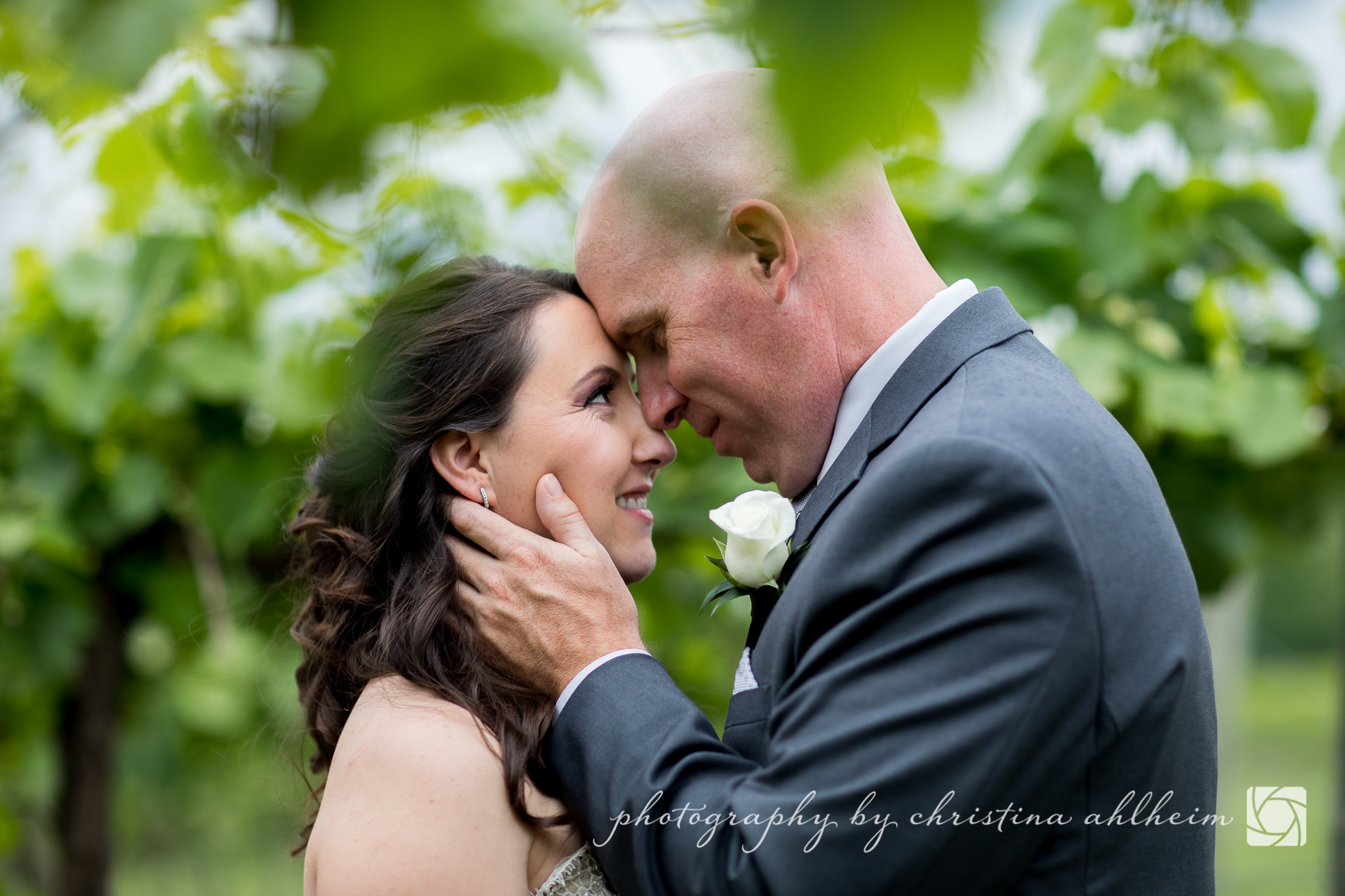 Noboleis Vineyards Wedding Photography MattAbby-7