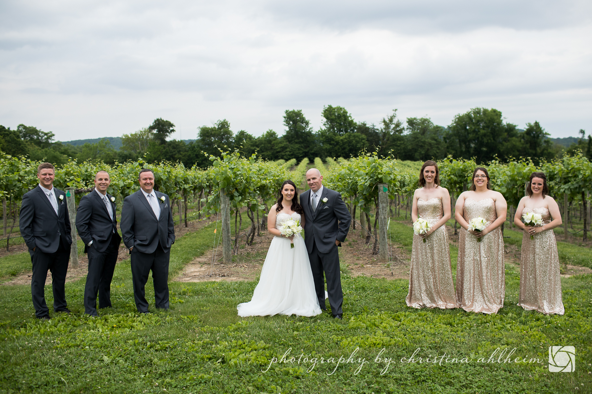 Noboleis Vineyards Wedding Photography MattAbby-8