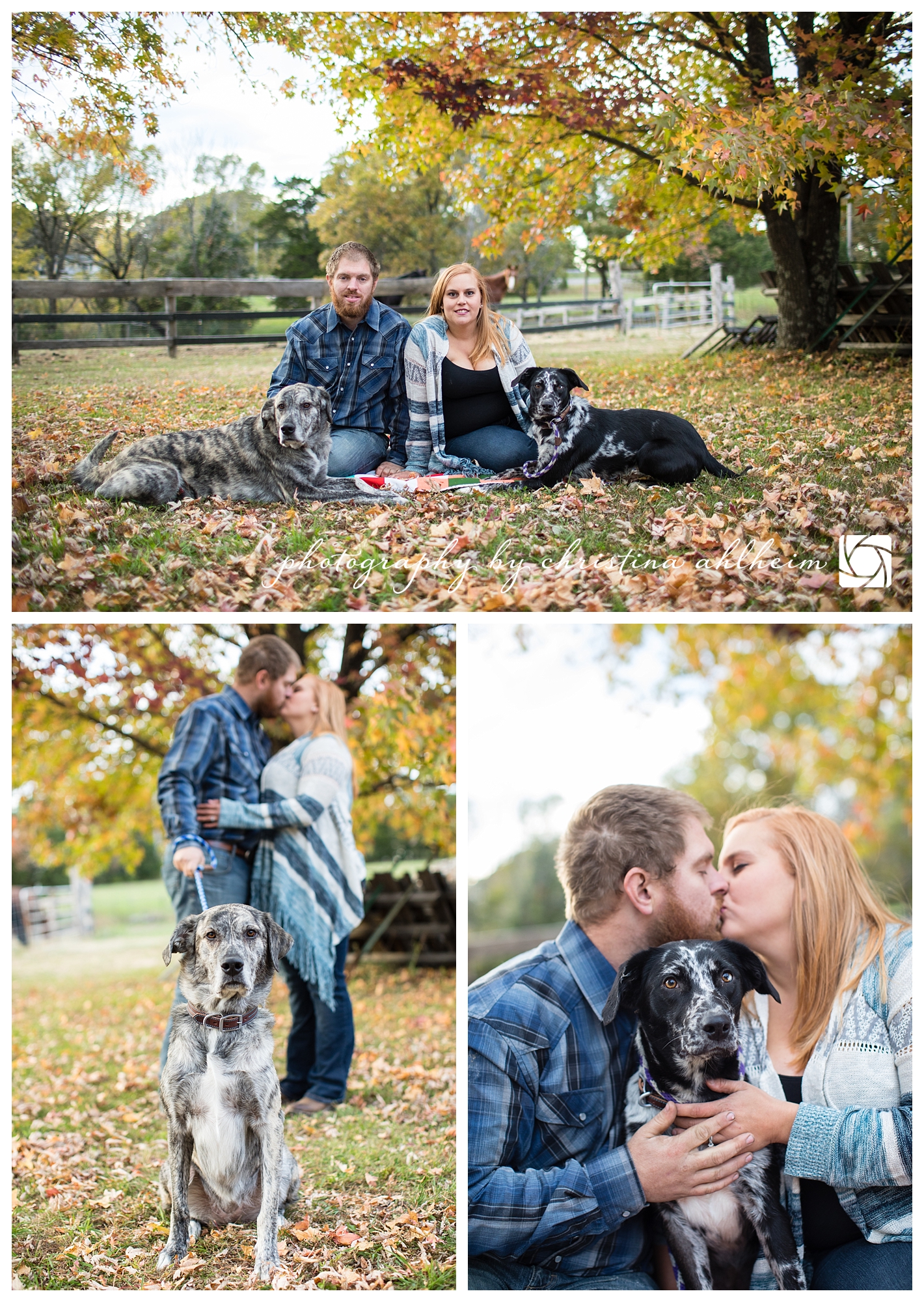 Horse Dog Engagement Photographer