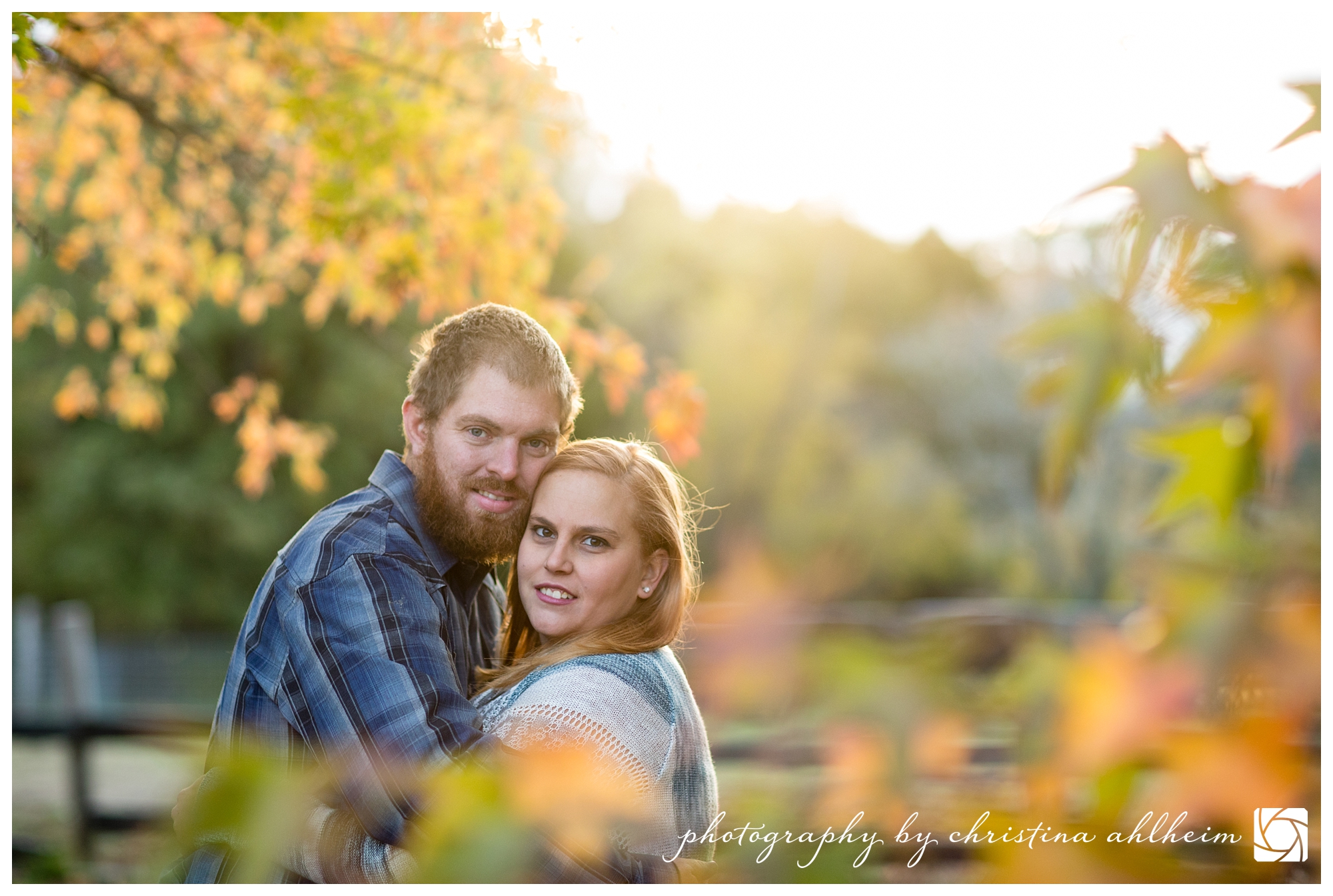 Horse Dog Engagement Photographer