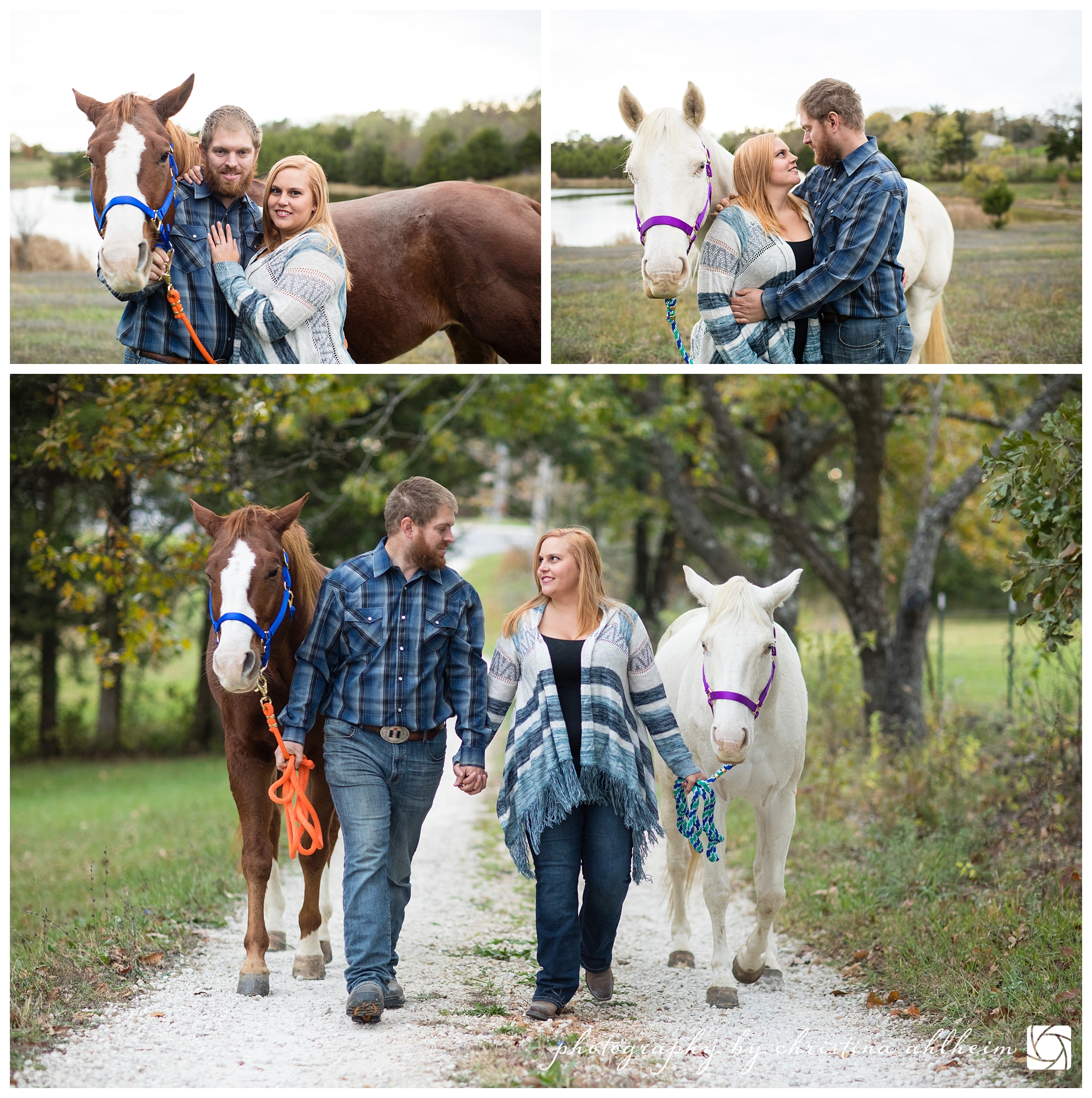 Horse Dog Engagement Photographer